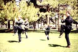 Masonic Kung Fu Form Lian Bu Ling Po